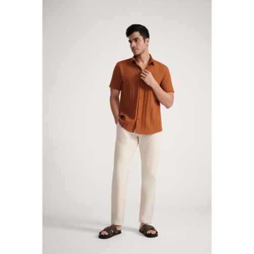 Brown Stripe Jacquard Shirt